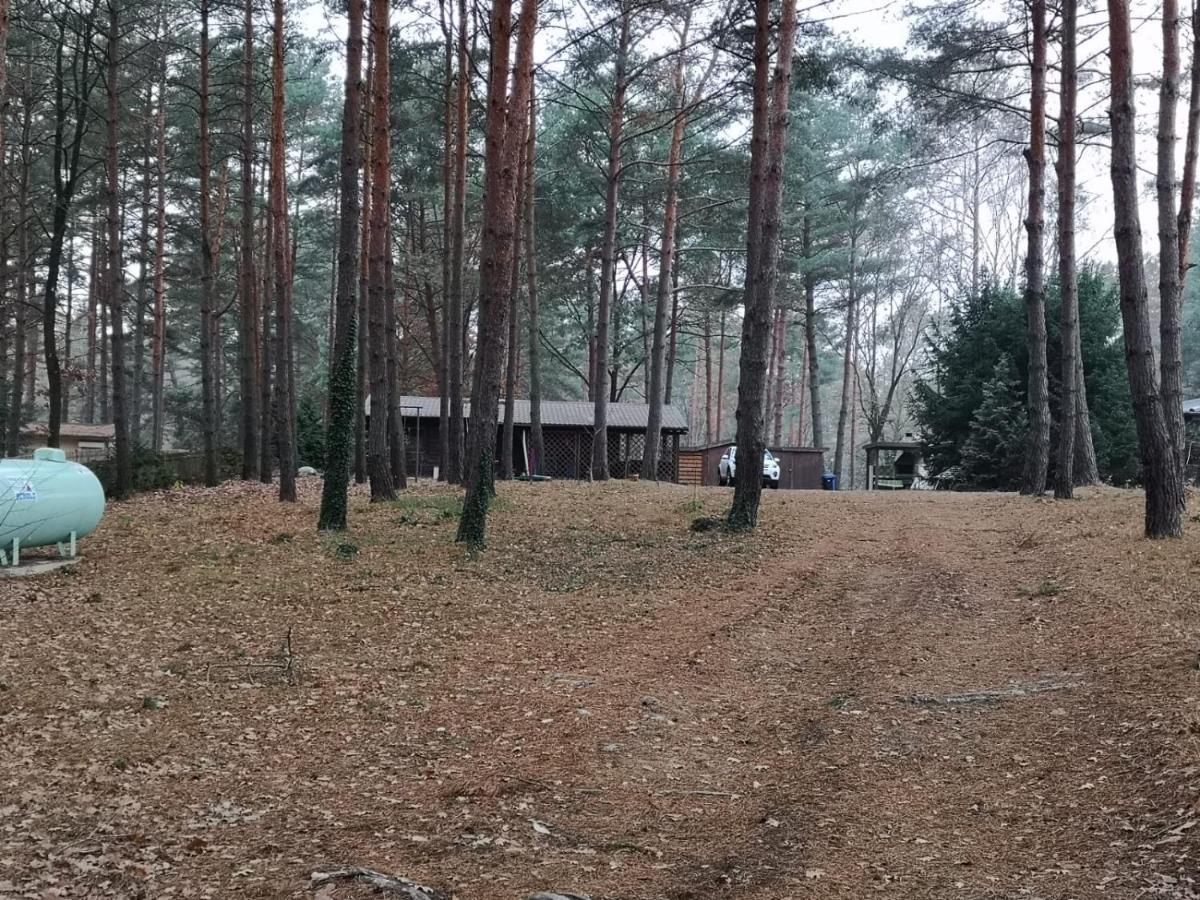 Ferienhaus Waldhütte Ferch Schwielowsee